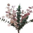 Eukalyptus Rosa 79cm