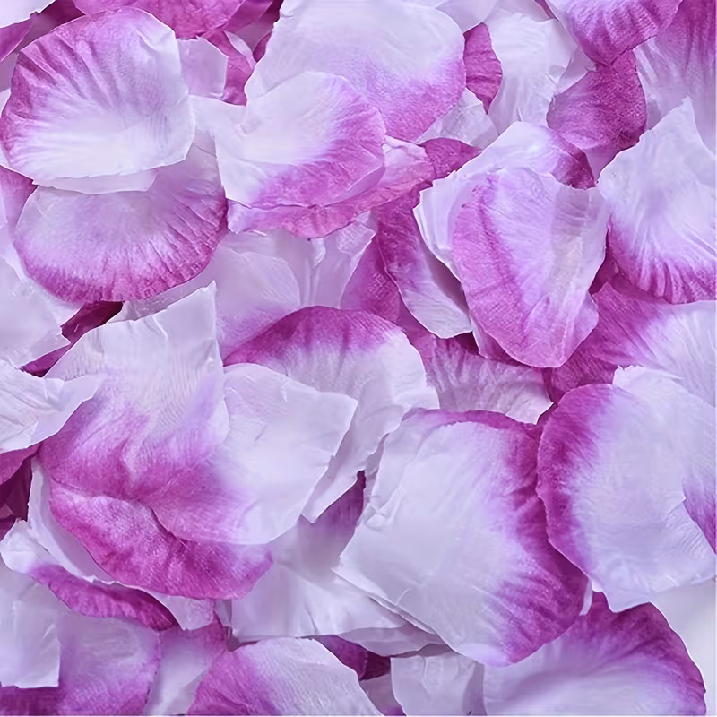 2färgade rosenblad i lila och vitt. 100-pack. 19 kronor.